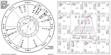 建议：占星术：从古代神秘预言到现代科学探索的历程